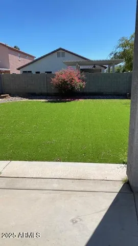 Clean backyard