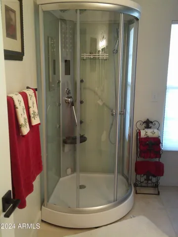 Steam shower