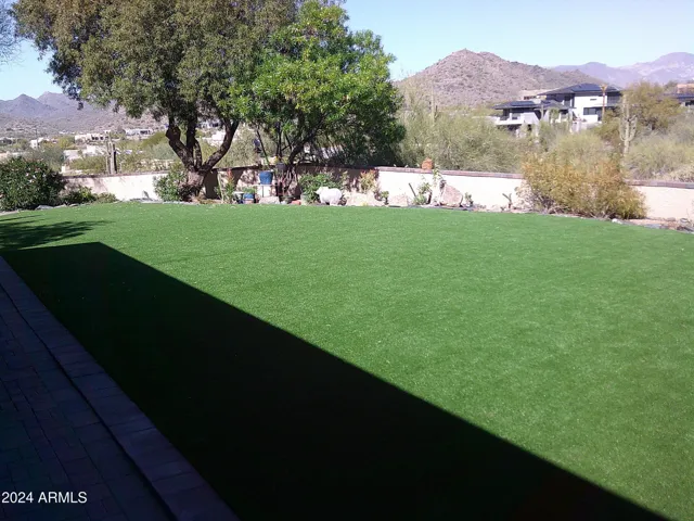 Backyard artificial lawn