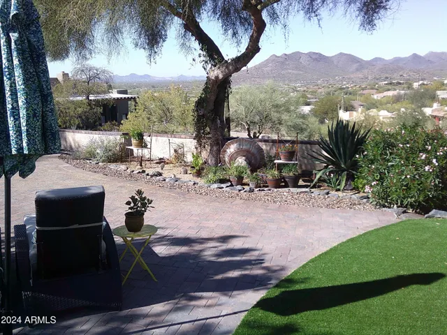 Backyard lounging area