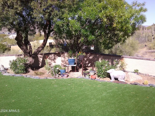 The bird sanctuary