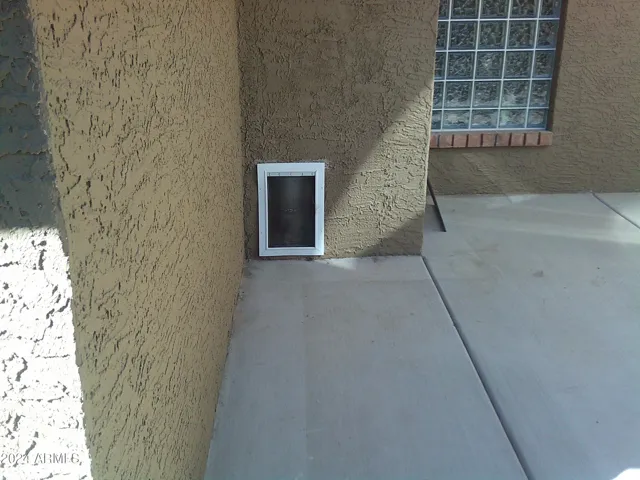 Large dogdoor entrance off dog run