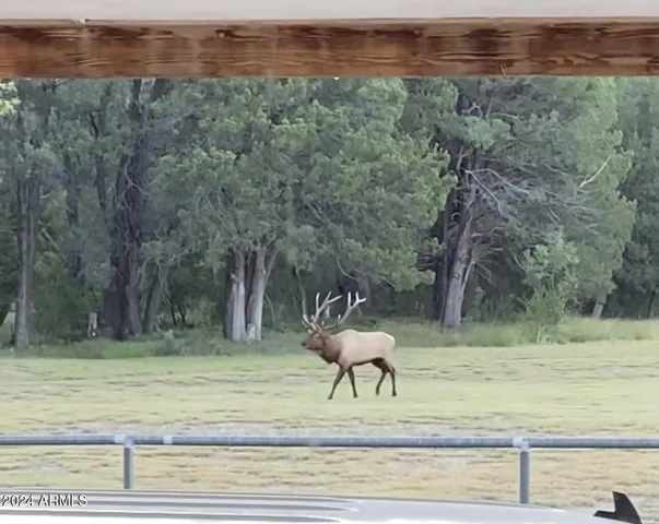 780