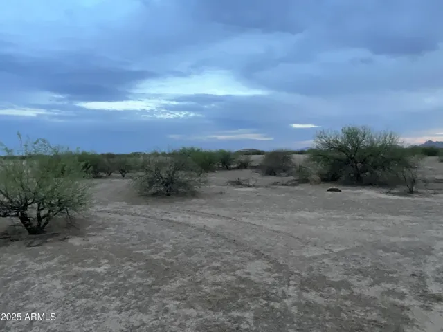 780
