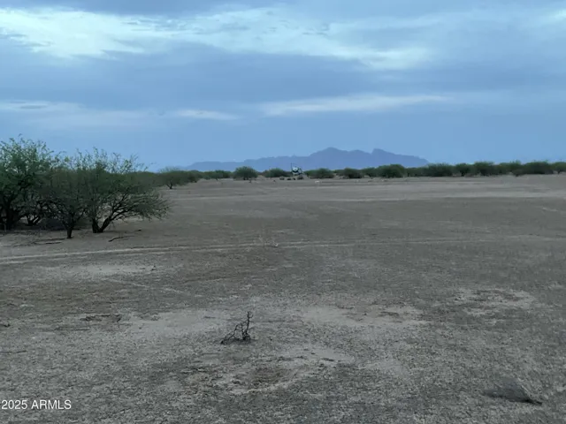 780