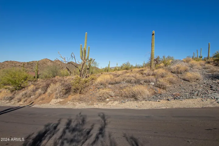 780