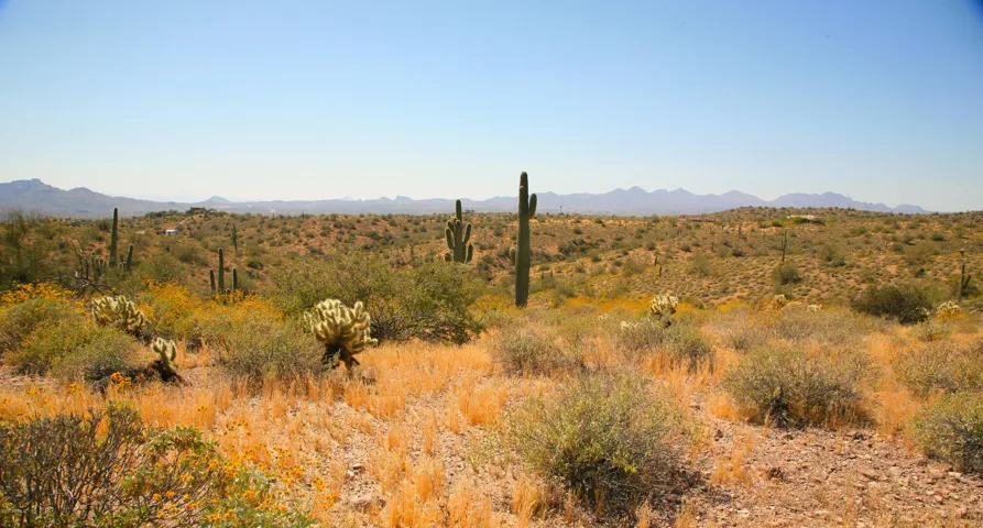 Elevated lot looks West to McDowell MTNS & Fountain Hills