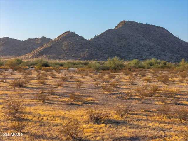 780