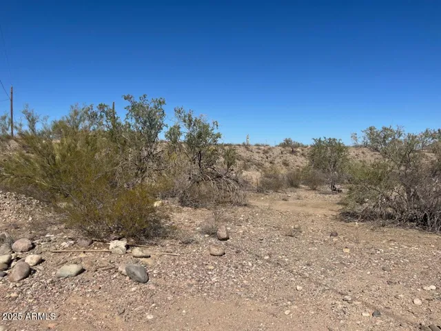 780