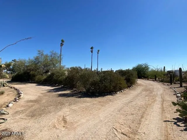 780