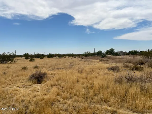 780