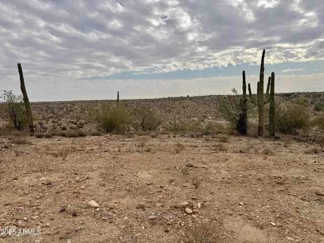 780