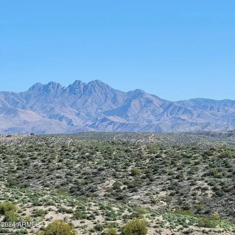 780
