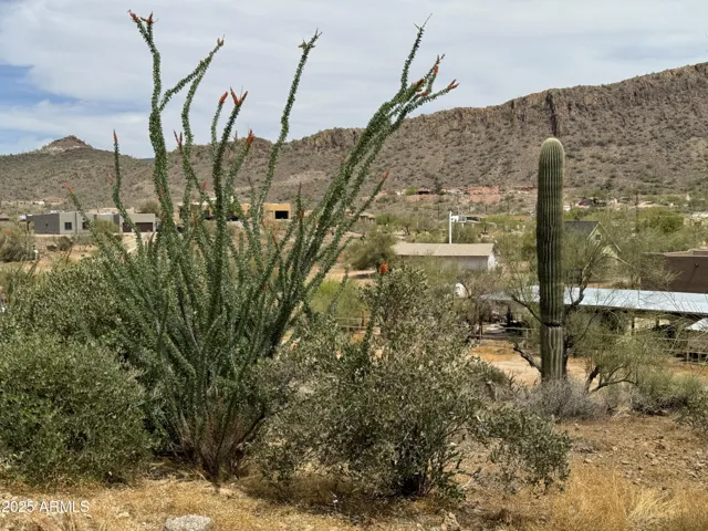 780