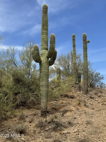 780