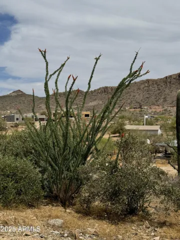 780