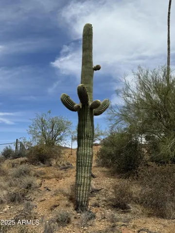 780