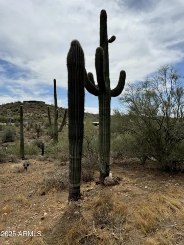 780