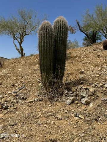780