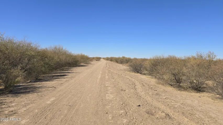 780