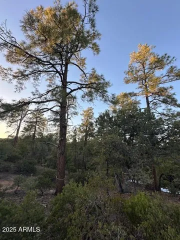 780