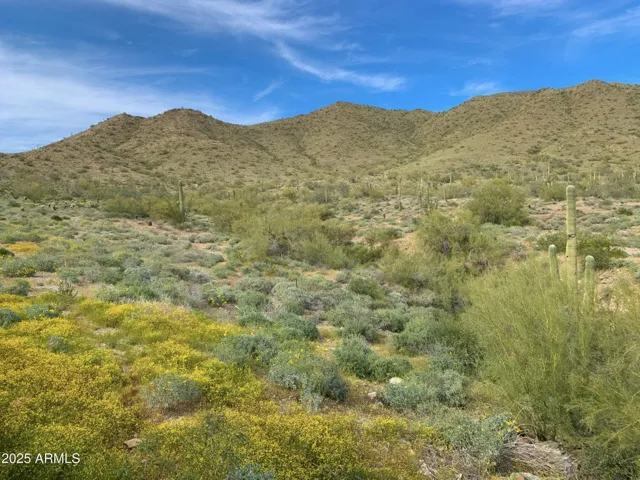 Hike Daisy Mountain