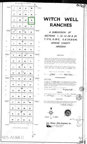 780