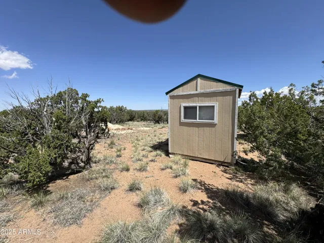 780