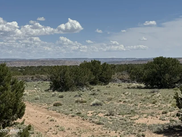 780