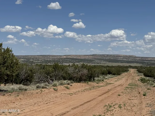 780