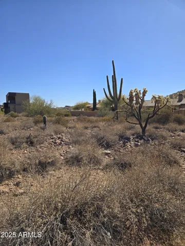 780