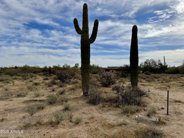 780