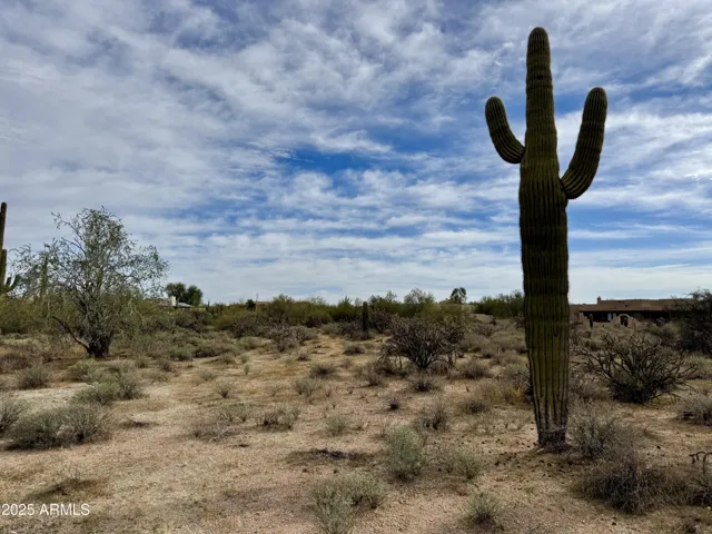 780