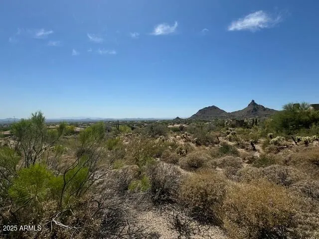 780