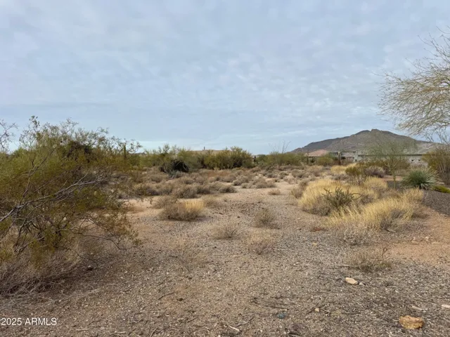 780