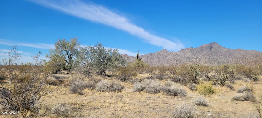 780