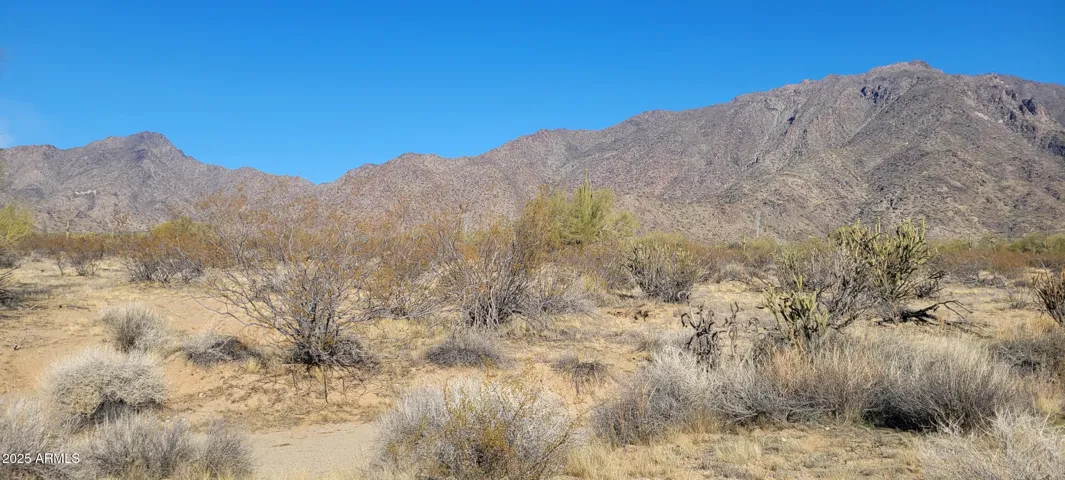 780