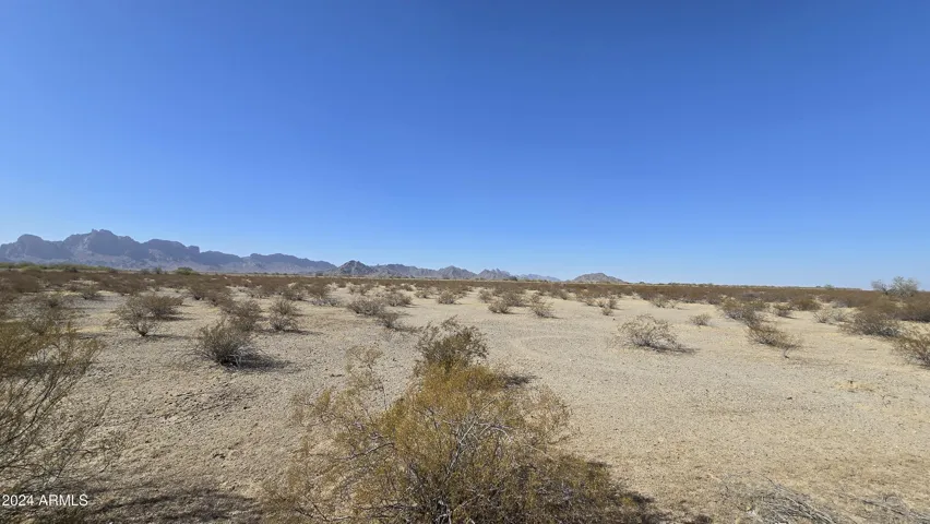 780