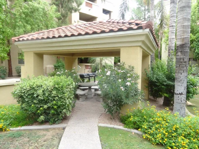 Area to BBQ and hang out