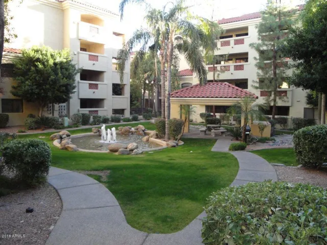 Ground of the complex