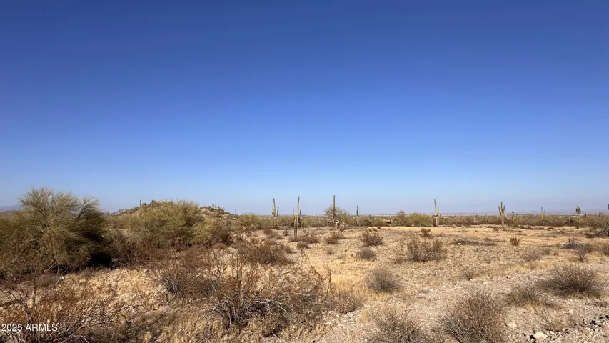 780