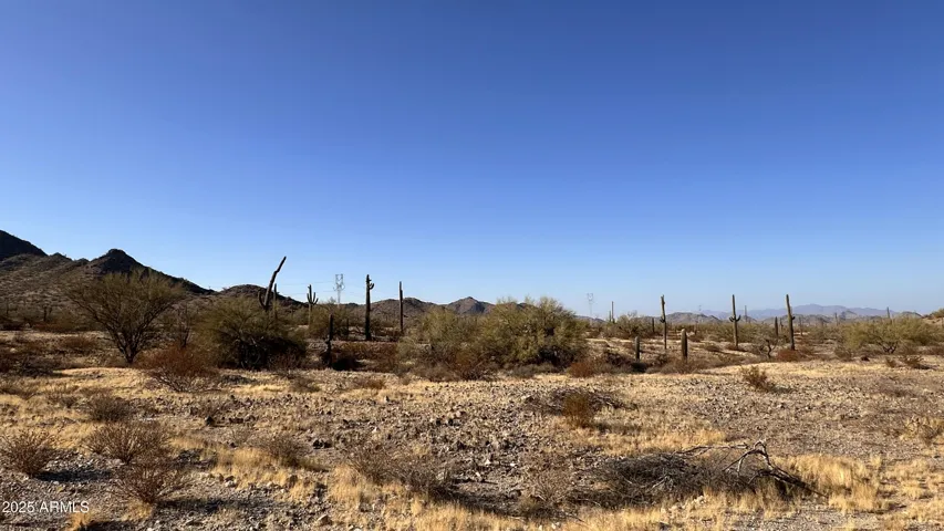 780