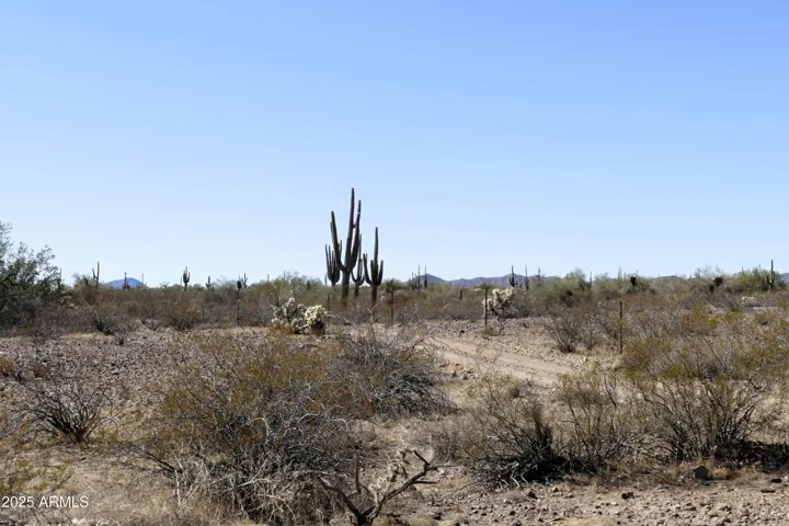 780