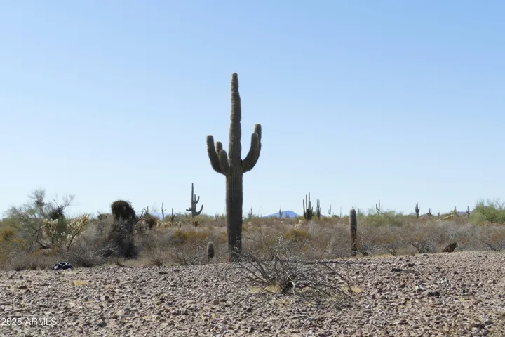 780