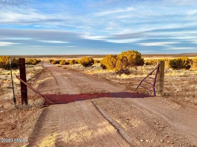 780