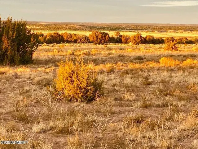 780