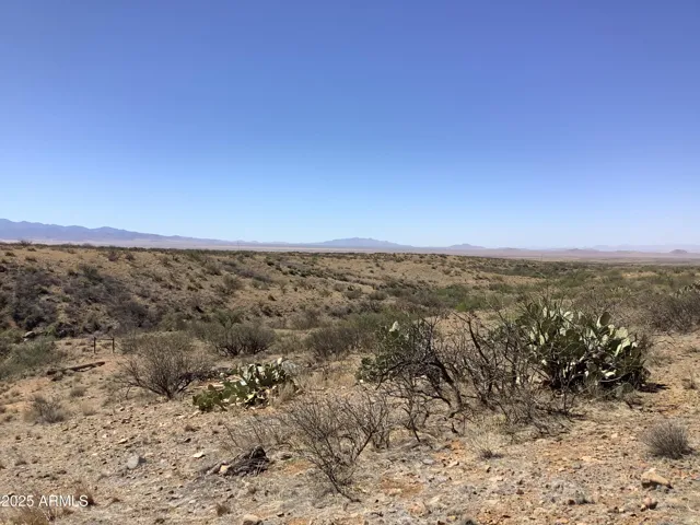 780