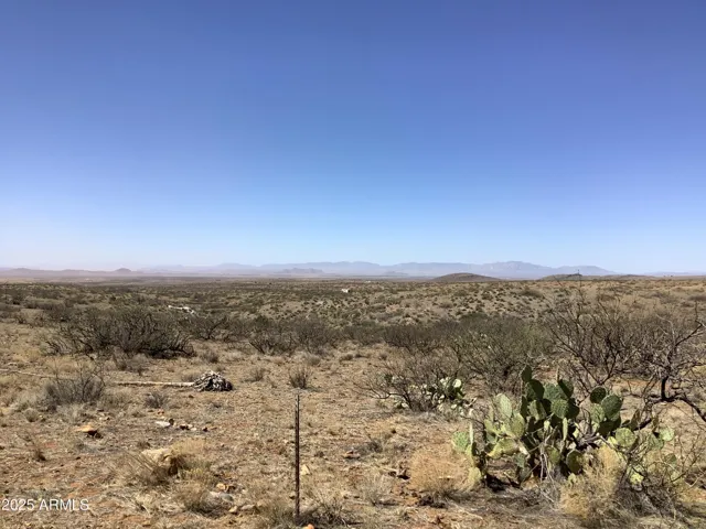 780