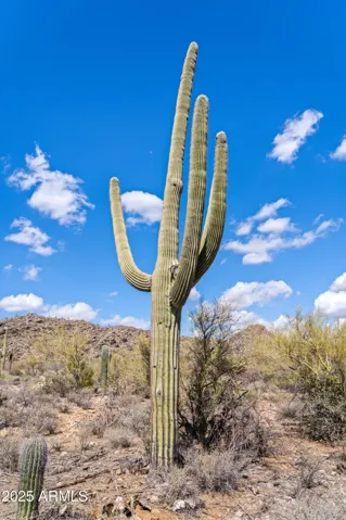 780