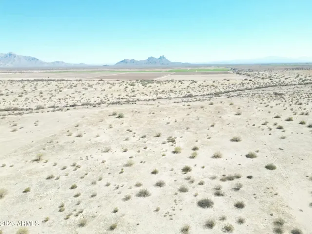 780